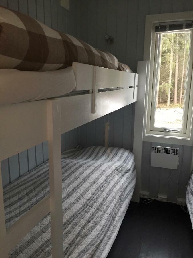 Koselig Hytte I Hemsedal Kültér fotó