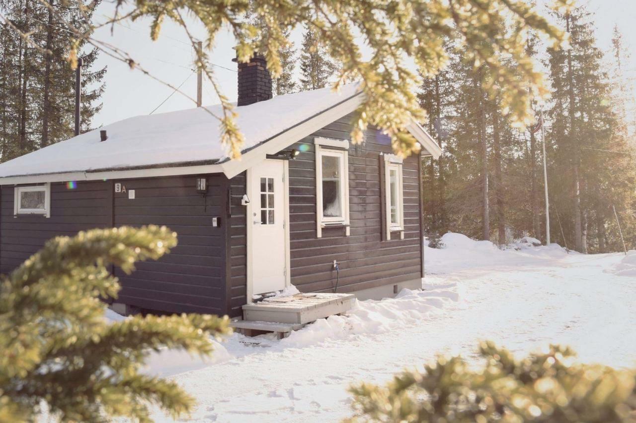 Koselig Hytte I Hemsedal Kültér fotó