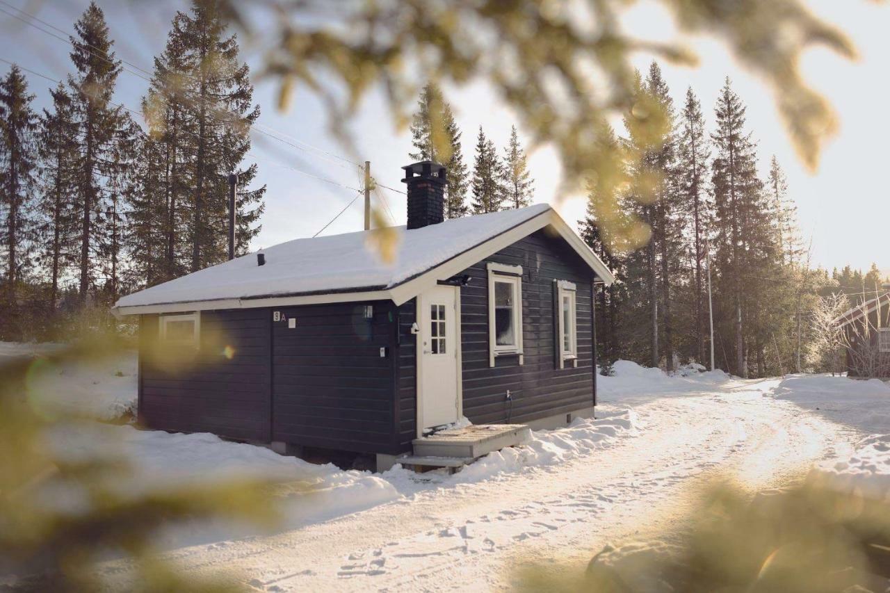 Koselig Hytte I Hemsedal Kültér fotó
