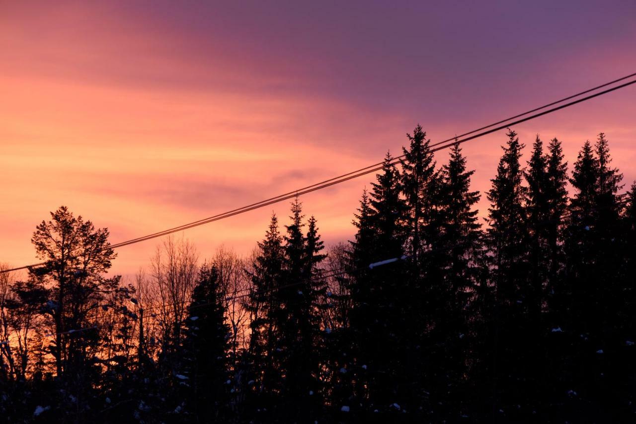 Koselig Hytte I Hemsedal Kültér fotó