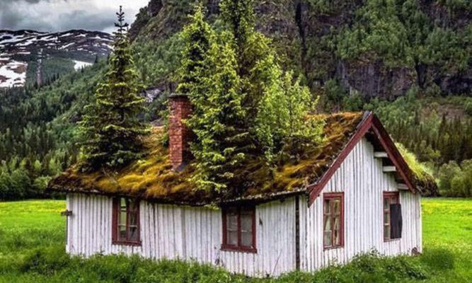 Koselig Hytte I Hemsedal Kültér fotó