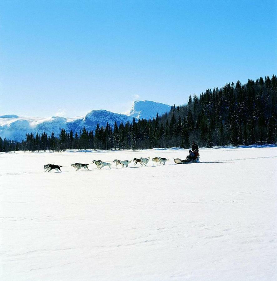 Koselig Hytte I Hemsedal Kültér fotó